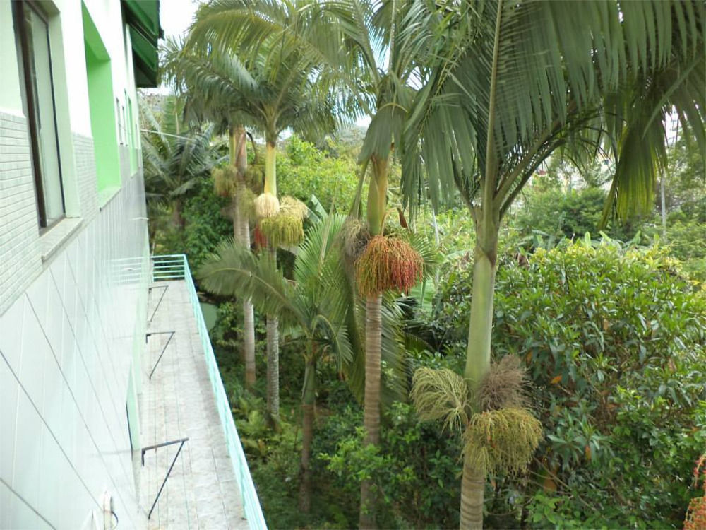 Hotel Pousada Reimar Balneario Camboriu Exterior photo